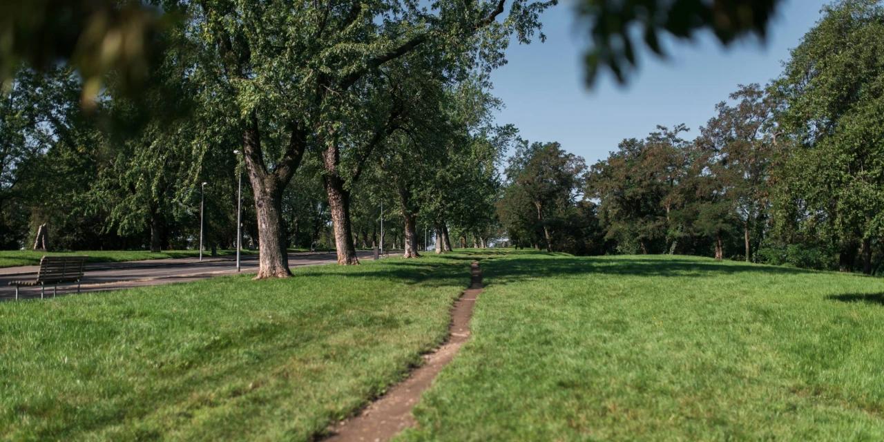 Get to know the surroundings of Žižkovské zahrady