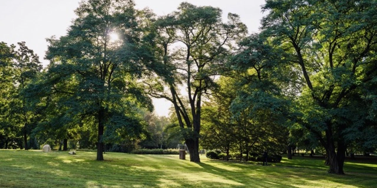 Vysočany - an excellent place for living