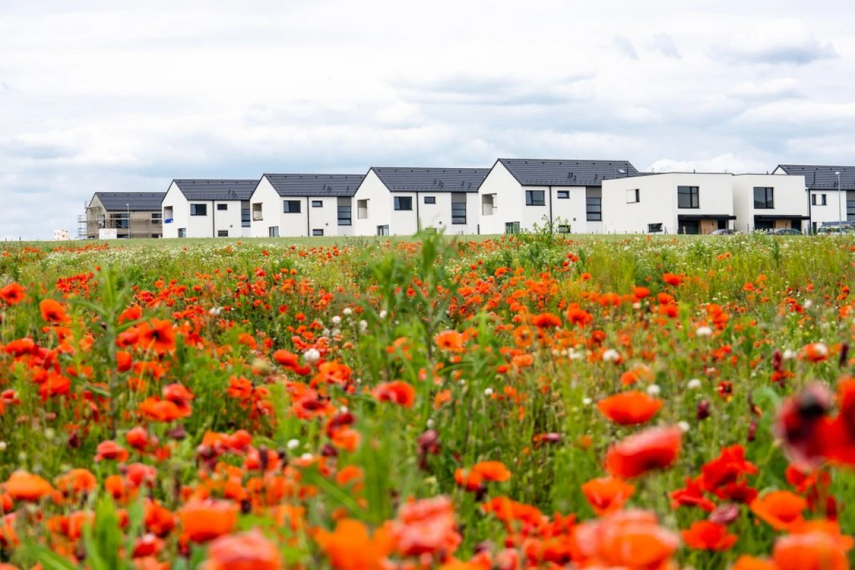 Čtvrtá fáze rodinných domů Březiněves byla úspěšně zkolaudována